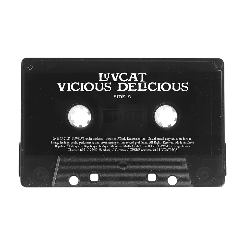 'VICIOUS DELICIOUS' Cassette