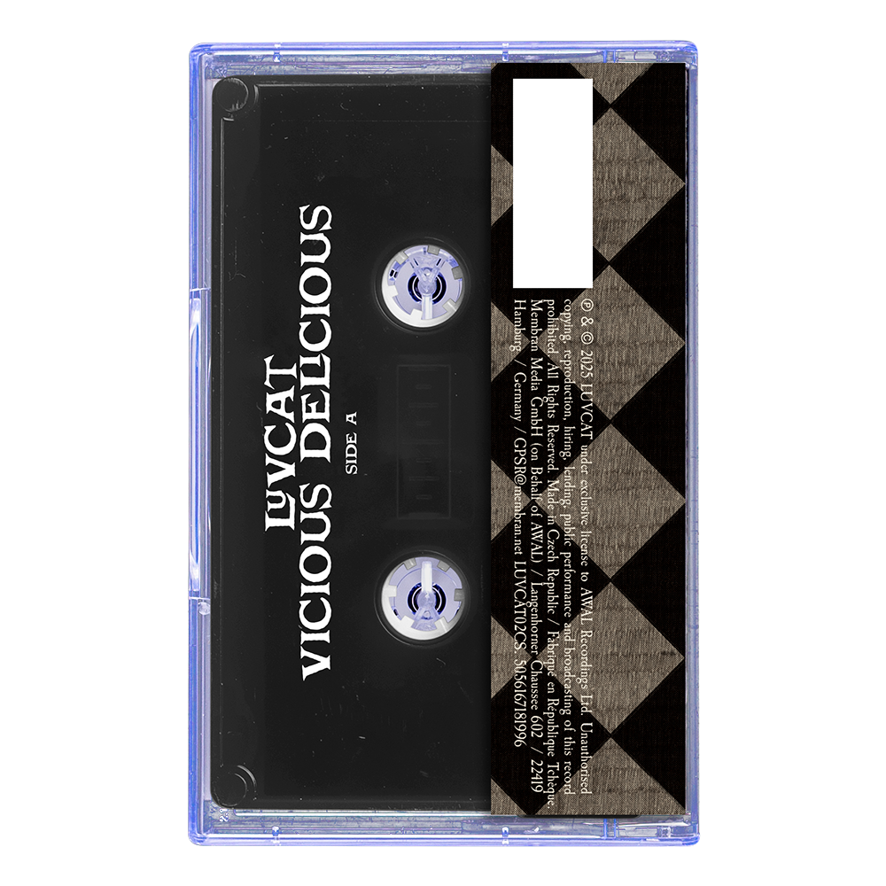 'VICIOUS DELICIOUS' Cassette